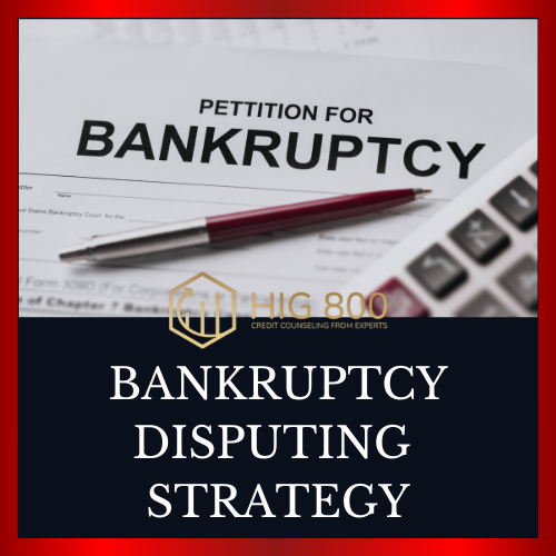 A thumbnail for the ebook Bankruptcy Disputing Strategy. Includes a photo of a Petition for Bankruptcy and the HIG 800 logo.  Underneath is text reading Bankruptcy Disputing Strategy.
